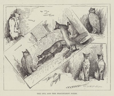 Baykuş ve Sahtekar Tilkiler by Henry Charles Seppings Wright